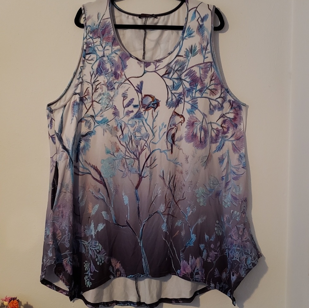Azalea sleeveless ombre tunic 4X